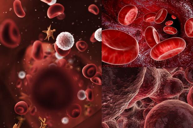 ������Ѫ˨���κ���_�Թ�����ʳ�ײ��˲���_��Ѫ˨����һ��ʳ��