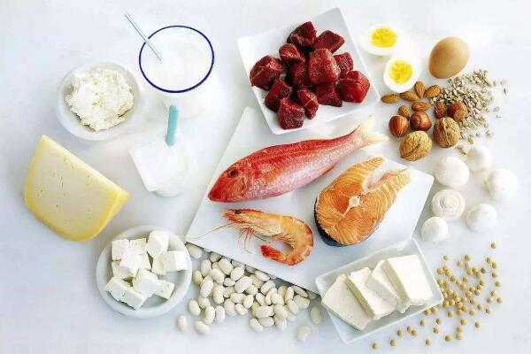 ������ǰʳ��_��ǰ����ʳ��_��ǰʳ�׵���