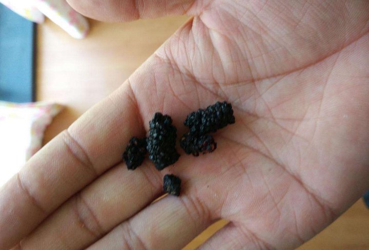 ���ں�ʳ��