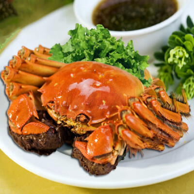 �＾��ʳʳ��_�＾��ʳʳ��_һ��˸����＾����ʳ��