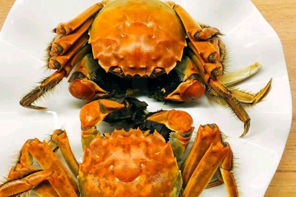 �＾��ʳʳ��_һ��˸����＾����ʳ��_�＾��ʳʳ��