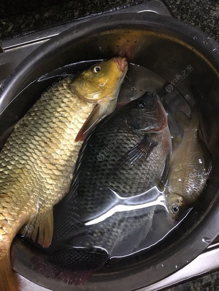 ħ�ڿ���ʳ��_��Ѭ������ʳ��_�����ʳ��