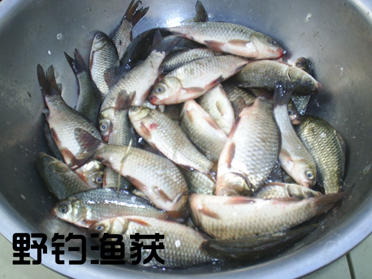 �����ʳ��_ħ�ڿ���ʳ��_��Ѭ������ʳ��