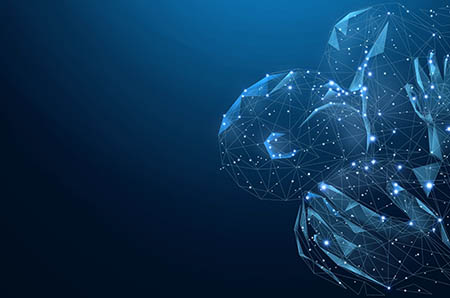 ���Ӳ�ʳ�׺�����_���Ӳ�ʳ������_���Ӳ�ʳ�׼���ϸ����