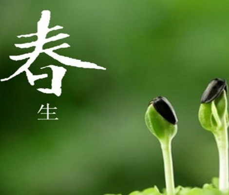 ����Ů������ʳ��_��������ʳ�׵���Ƣθ_��������ʳ��