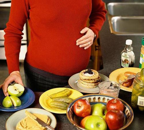 �����и���ʳʳ��_�������и���ʳʳ��_�и����и���ʳʳ��