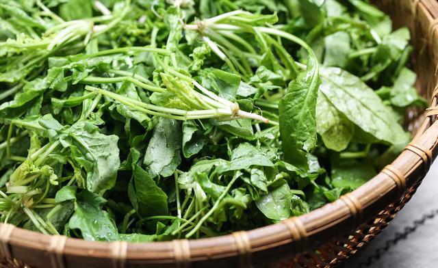 ���˴�������ʳ��_������ʳ����ʳ��_��������ʳ�׵���Ƣθ