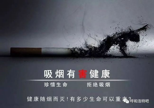 ��Ч���̷���_��ν�������Чʳ��_����������Ч