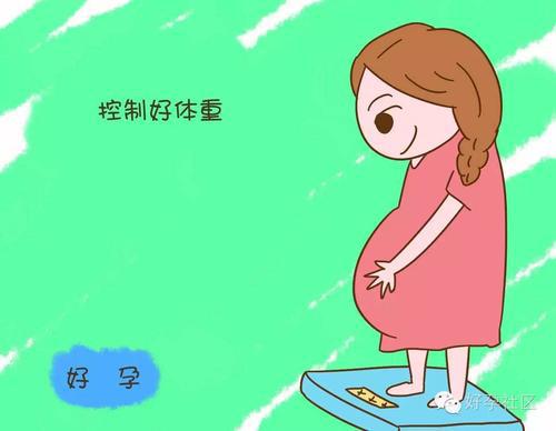 �и����и���ʳʳ��_�и���ʳʳ��_�и��ֽ׶�ʳ��Ӫ����ʳ