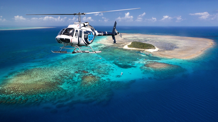 ��ôȥ����Ⱥ��_����Ⱥ��ʳ�ײ�ҳ_ħ����������Ⱥ��