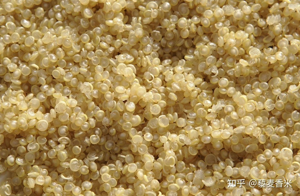 ��Ѫ����ʳʳ��