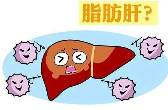 ����Ѫ�ܲ�Ԥ��ʳ��_Ԥ�����˻�֢_�԰��ʲ��������Ѫ����Χ��϶������