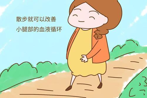 早期孕妇一天的食谱_孕妇各阶段食谱妊妇食谱_孕妇早期 食谱