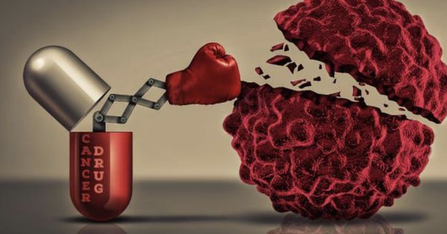 ����ԭλ��Ҫ������_���ٰ������ڼ�ʳ��_�����г�����Ҫ������