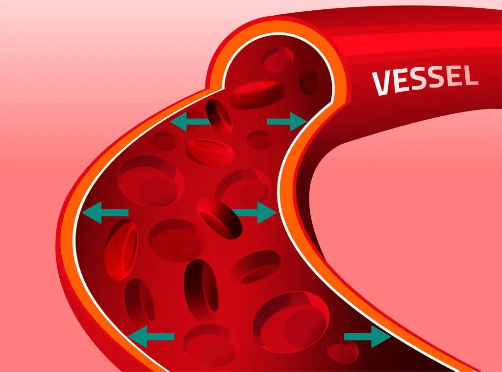 �Թ������ܳ�����Ƭ��_�Թ����˳��ڳ�ʲôҩ_�Ƽ��Թ����˵�ʳ��