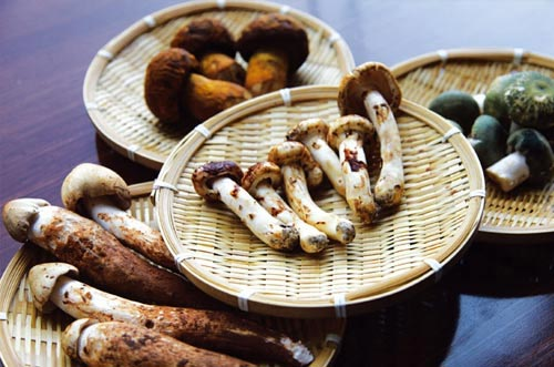 ���ٰ������ڼ�ʳ��