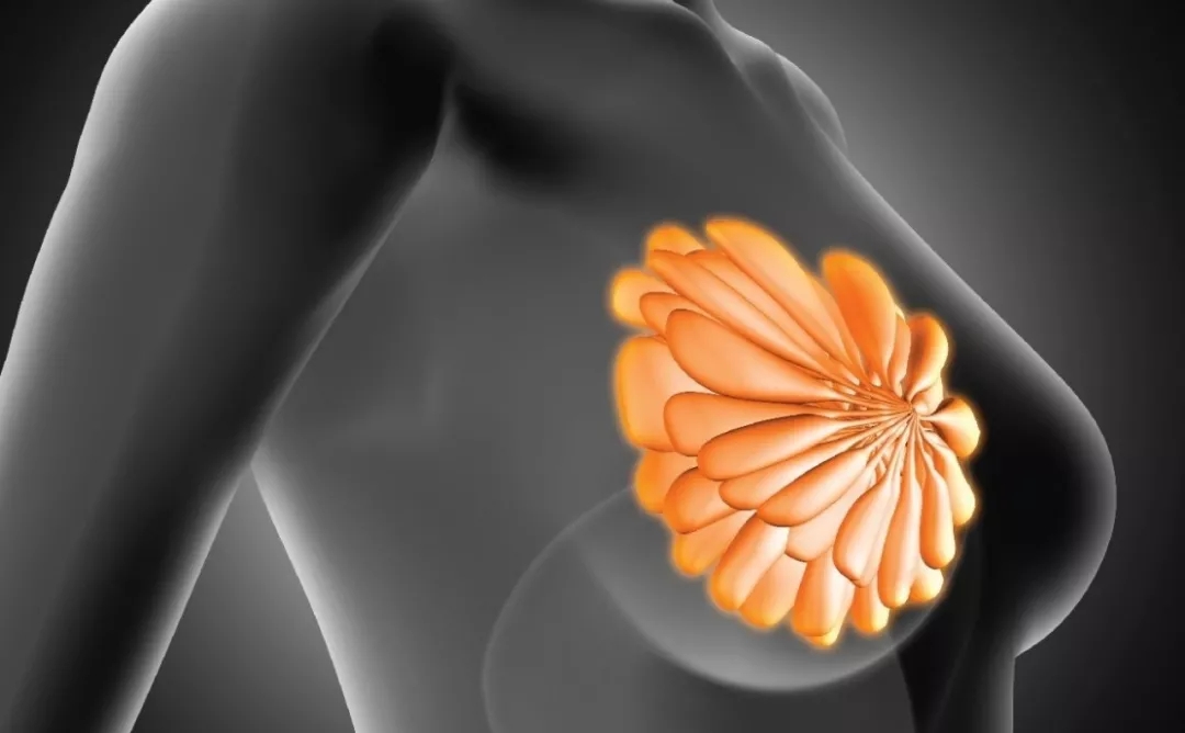 ���ٰ������ڼ�ʳ��_���ٶ�������ȡ���⻯�����κ���_�����г�����Ҫ������