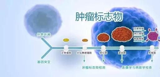 �ΰ�����ʳ��_�ΰ����˴�Ⱦ��_�ΰ����˲�Ʒ