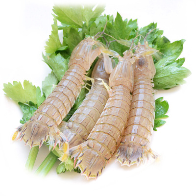 ����뱦��ʳ��Ϻ_4�걦�����ʳ�׽���Ϻ������_�и�ʳ��Ϻ