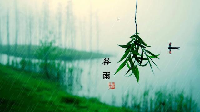 ����������_��������ʳ��_�����ʲô������