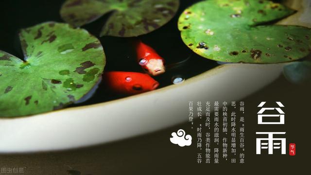 ����������_��������ʳ��_�����ʲô������