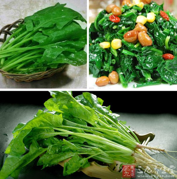 ��������_�����ʲô����_��������ʳ��