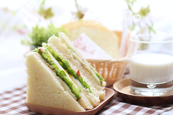 ���ʳ�״���_�������ʳ��_������ʹ���ʳ��