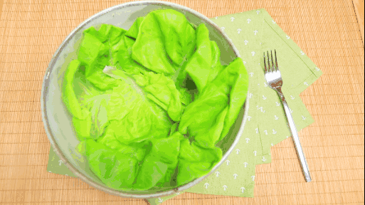 女性春季养生食谱_女人春季养生食谱_春季饮食养生食谱