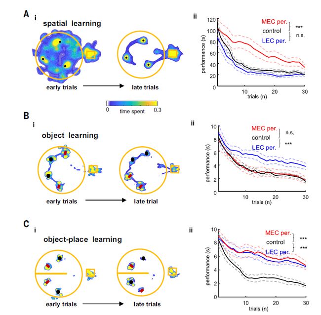 ��ǿ����_��ǿ��������ʳ��_��ǿ�������