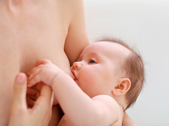 ţ�̼�����������ʳ��