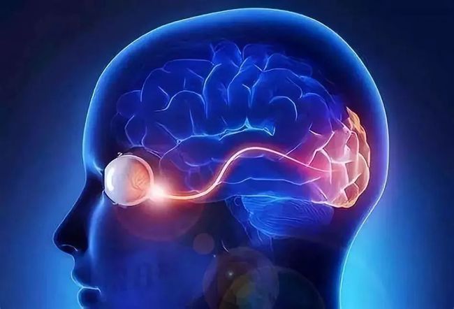 ��ǿ��������ʳ��_��ǿ���ӵֿ�����ʳ��_��ǿ�׶�����������Ϸ