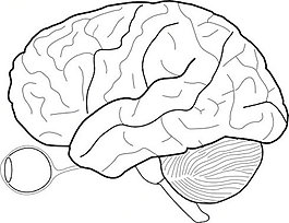 ��ǿ��������ʳ��_��ǿ�׶�����������Ϸ_��ǿ���ӵֿ�����ʳ��