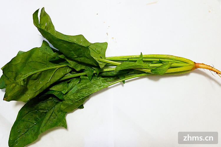 ڼʳ״ȫ