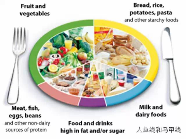 ��֬�ڵ�ʳ��