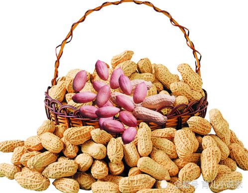 ��֢ʳ��ʳ��_��֢��ʳ�Ʋ���_��֢ ʳ��