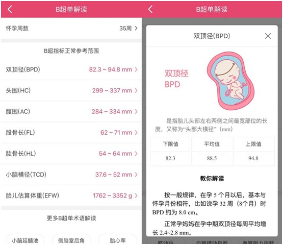 �и�ʳ������_�и�����ʳ��ʲô��������_�и�����ʳ��ʲô��������