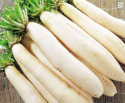 ��֢ʳ��ʳ��_��֢����ʳ�Ʋ���_��֢��ʳ��