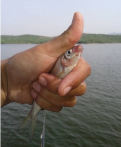 wow�����������_[��������]_��������ʳ��ħ��