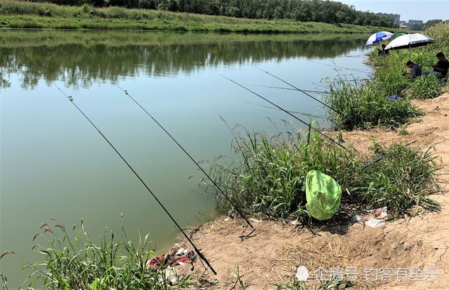 wow�����������_[��������]_��������ʳ��ħ��