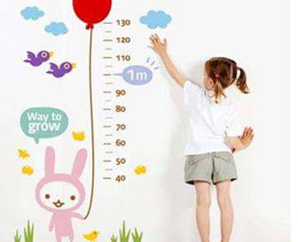 ���걦������ʳ��