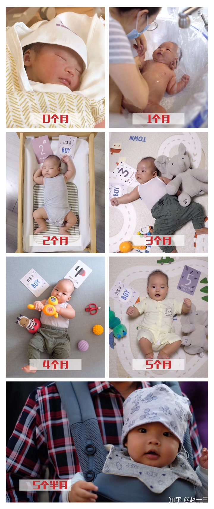 �����ڼӲ�ʳ��