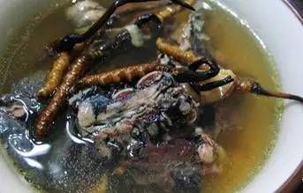 气虚体弱炖汤食谱