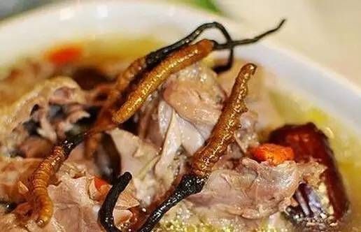 气虚体弱炖汤食谱