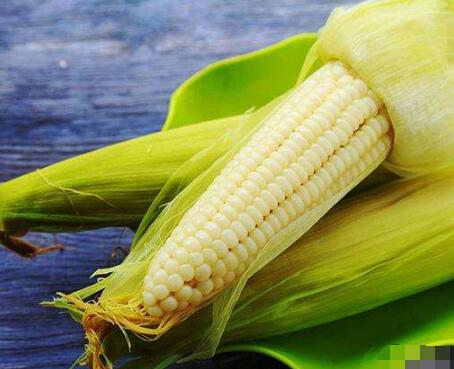 减脂期的食谱_健身食谱减脂_减脂食谱