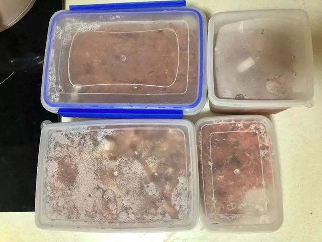 è������ʳʳ��