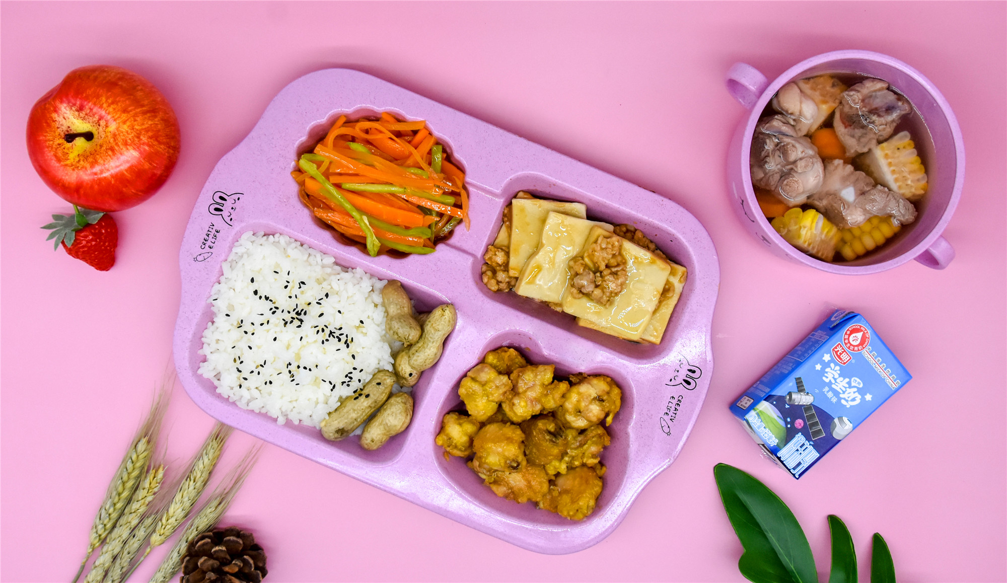 Сѧ��һ��Ӫ����ʳ��