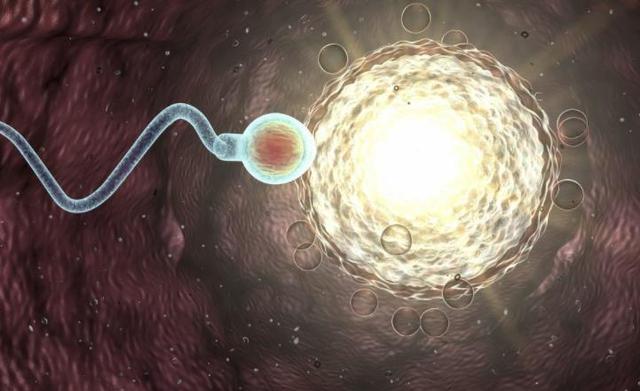 ׼����������ʳ��_���Ա�����ʳ��_���к�������ʳ��