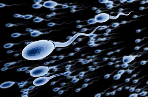 ���к�������ʳ��_׼����������ʳ��_���Ա�����ʳ��