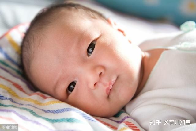 ���к�������ʳ��