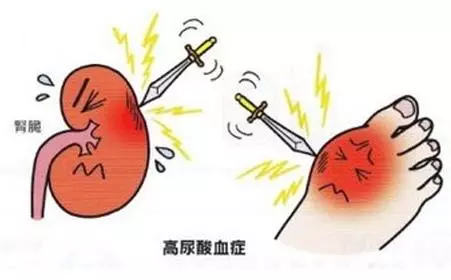 ʹ����Ⱥ��ʳ��_ʹ��ʯʳ��_ʹ��һ��ʳ��